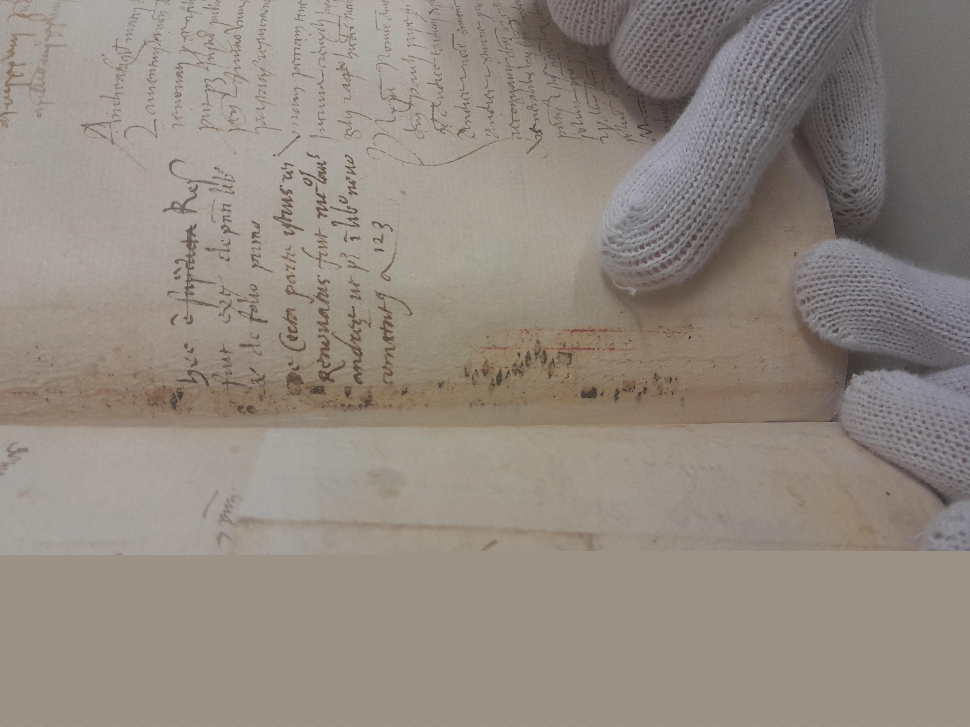 Armonie dal medioevo